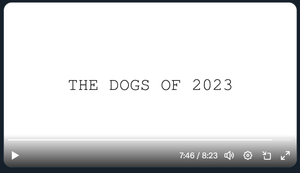 2023 Dogs