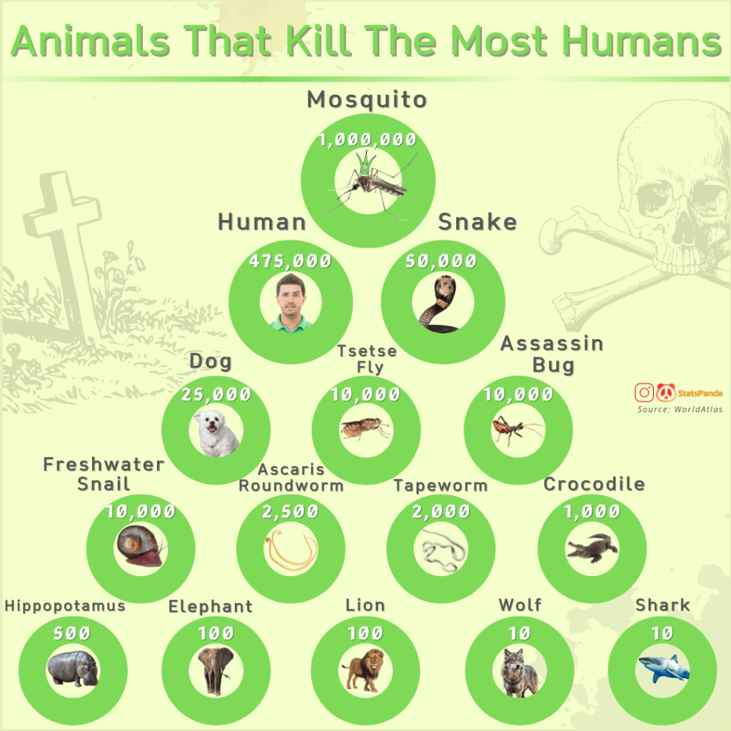 Human Killers