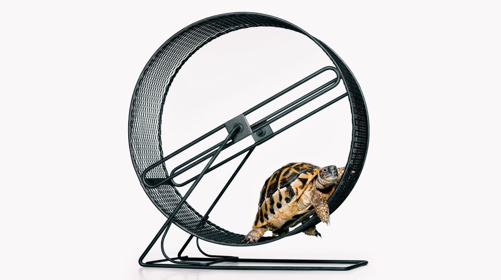 Chasing Productivity