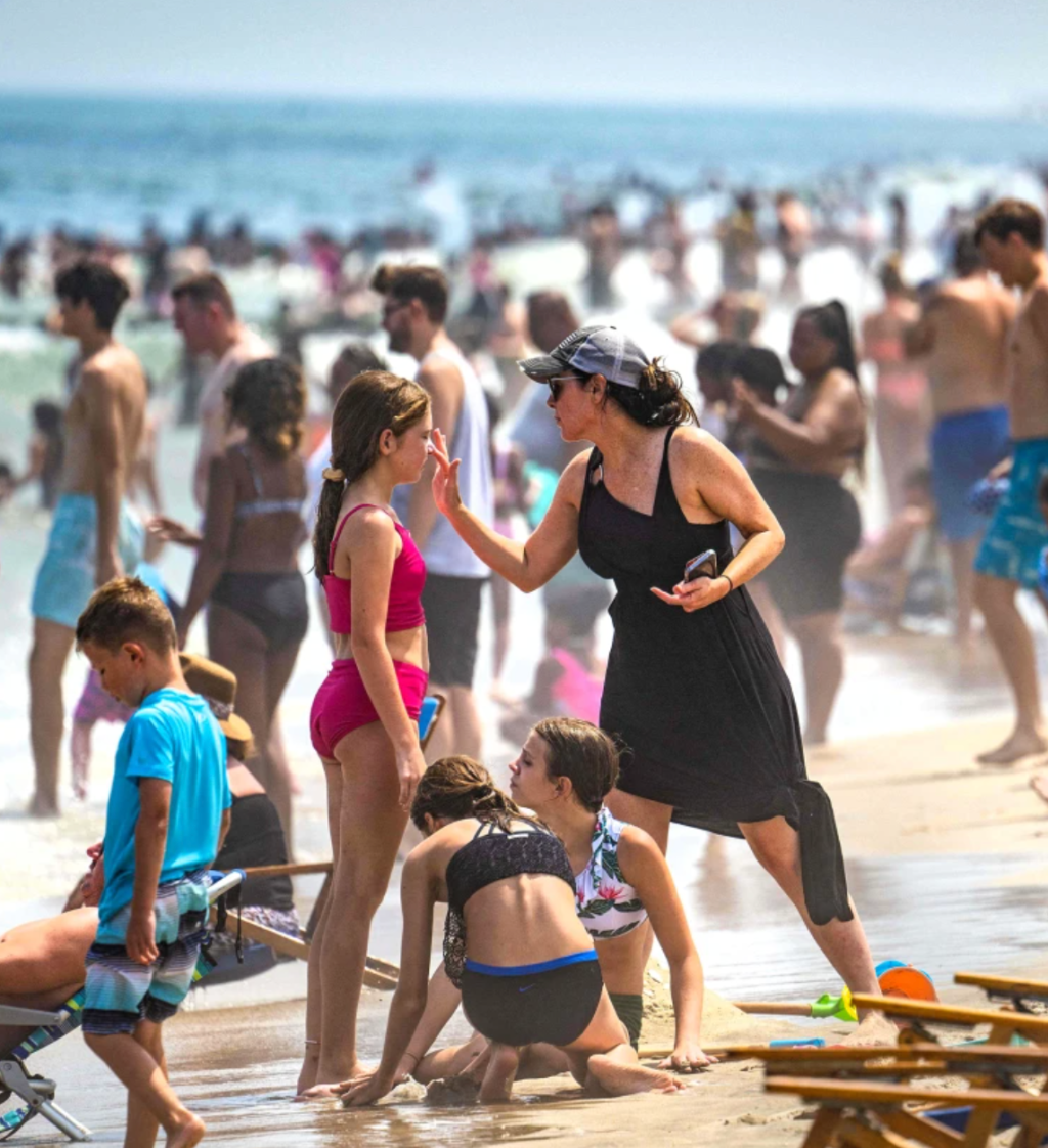 Sunscreen Ingredients