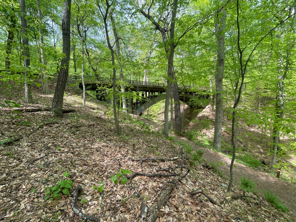 Nice Day for a&nbsp;Work